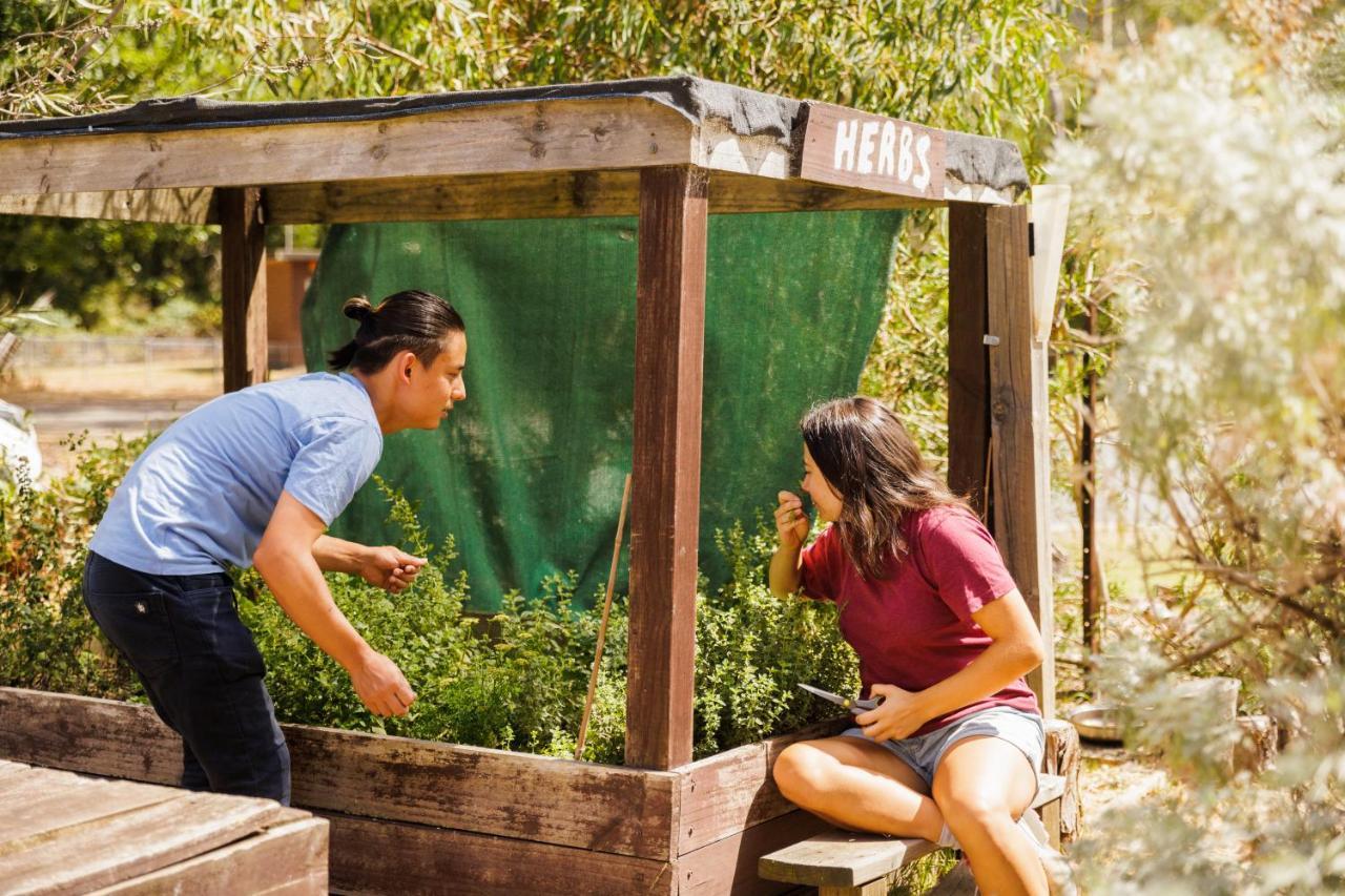 Yha Grampians Eco, Halls Gap Εξωτερικό φωτογραφία