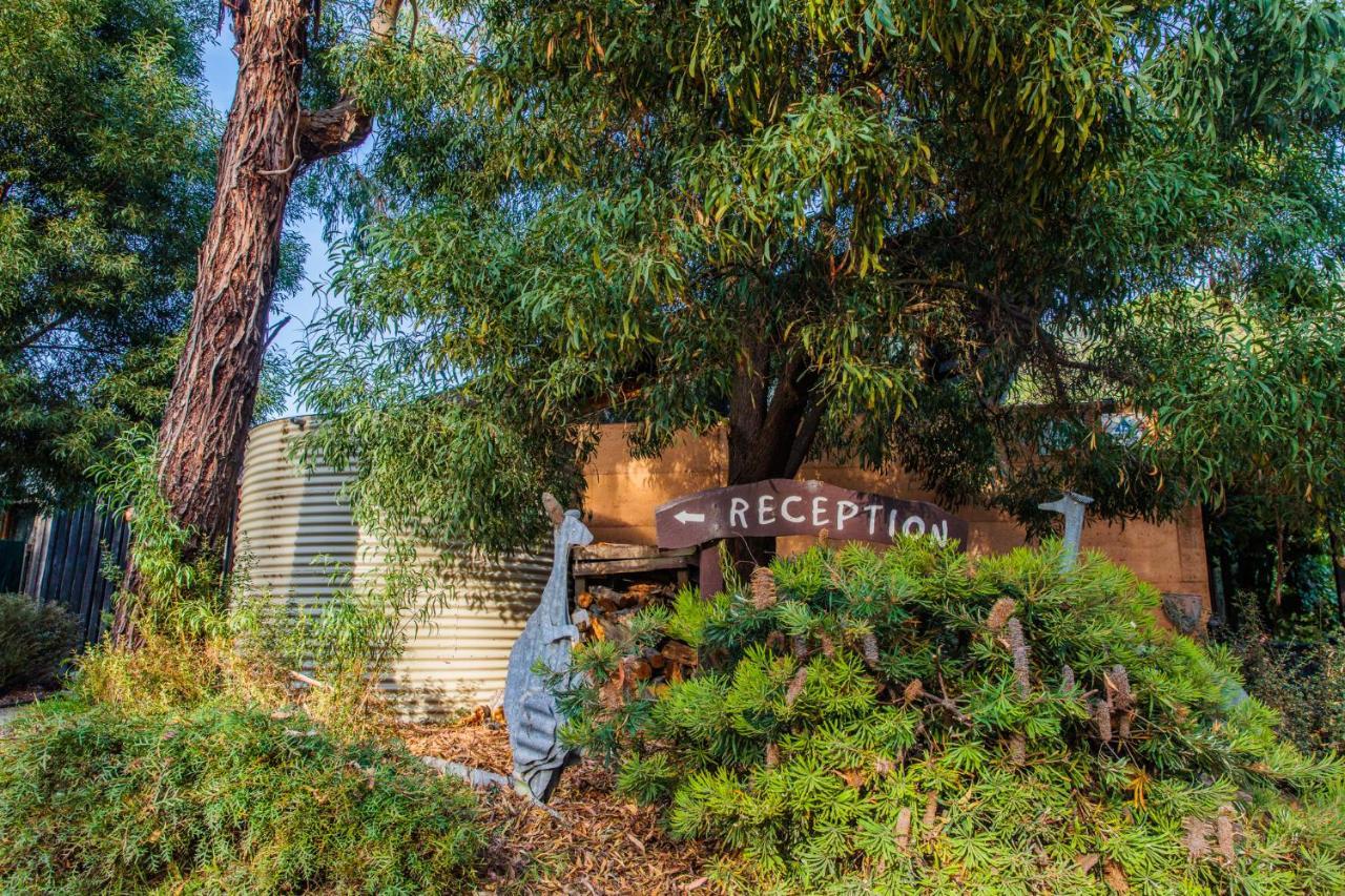 Yha Grampians Eco, Halls Gap Εξωτερικό φωτογραφία