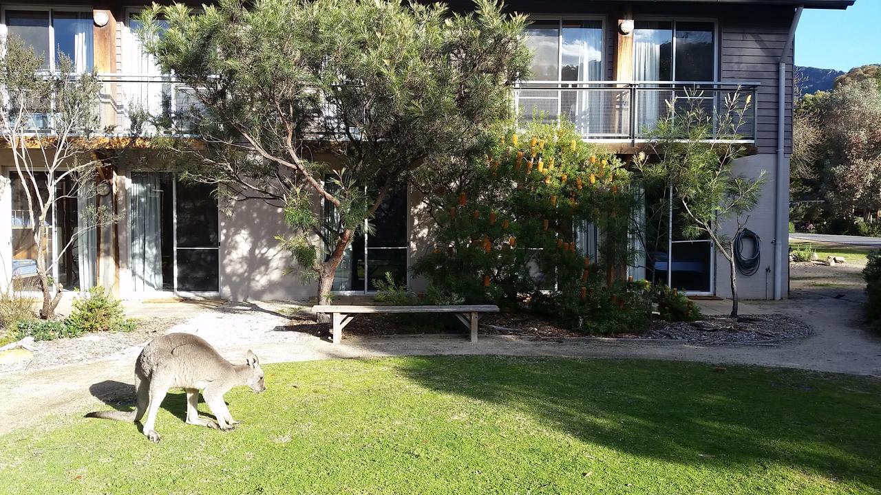 Yha Grampians Eco, Halls Gap Εξωτερικό φωτογραφία